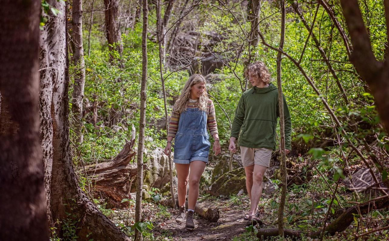 Ernie Cabin Wauhatchie Woodlands Tiny Cabin Chattanooga Buitenkant foto